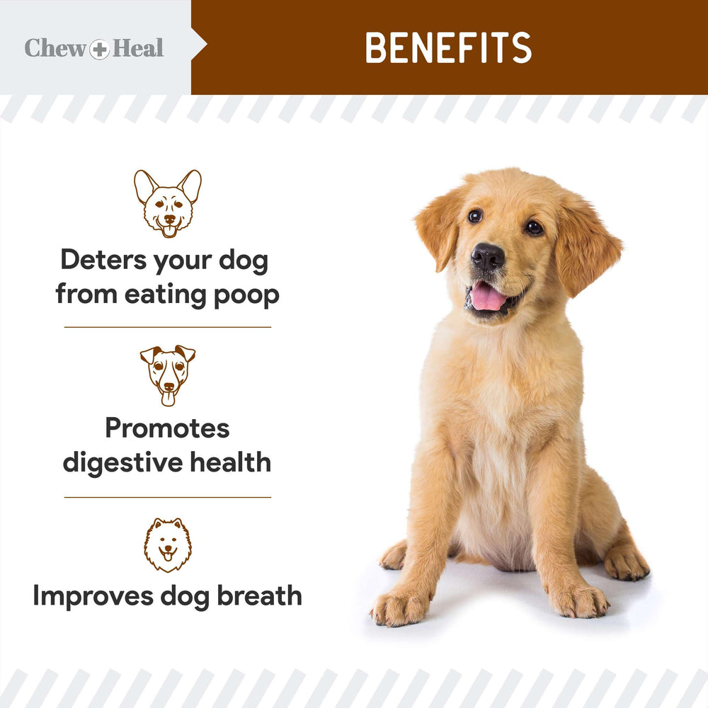 Chew Heal Labs No Poo Chews packaging shows natural ingredients for digestion support.