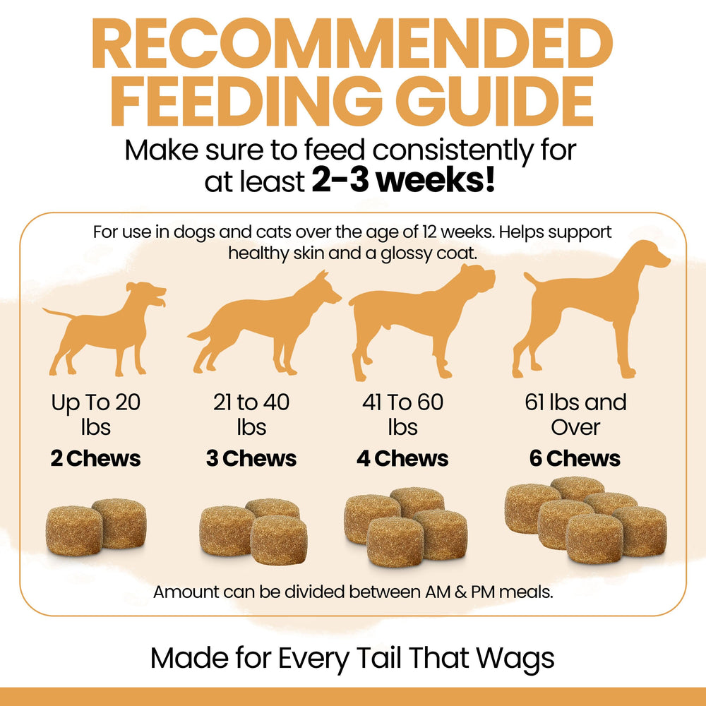 Chew Heal Labs Omega-3 dog soft chews ingredient panel highlight omega-3 sources.