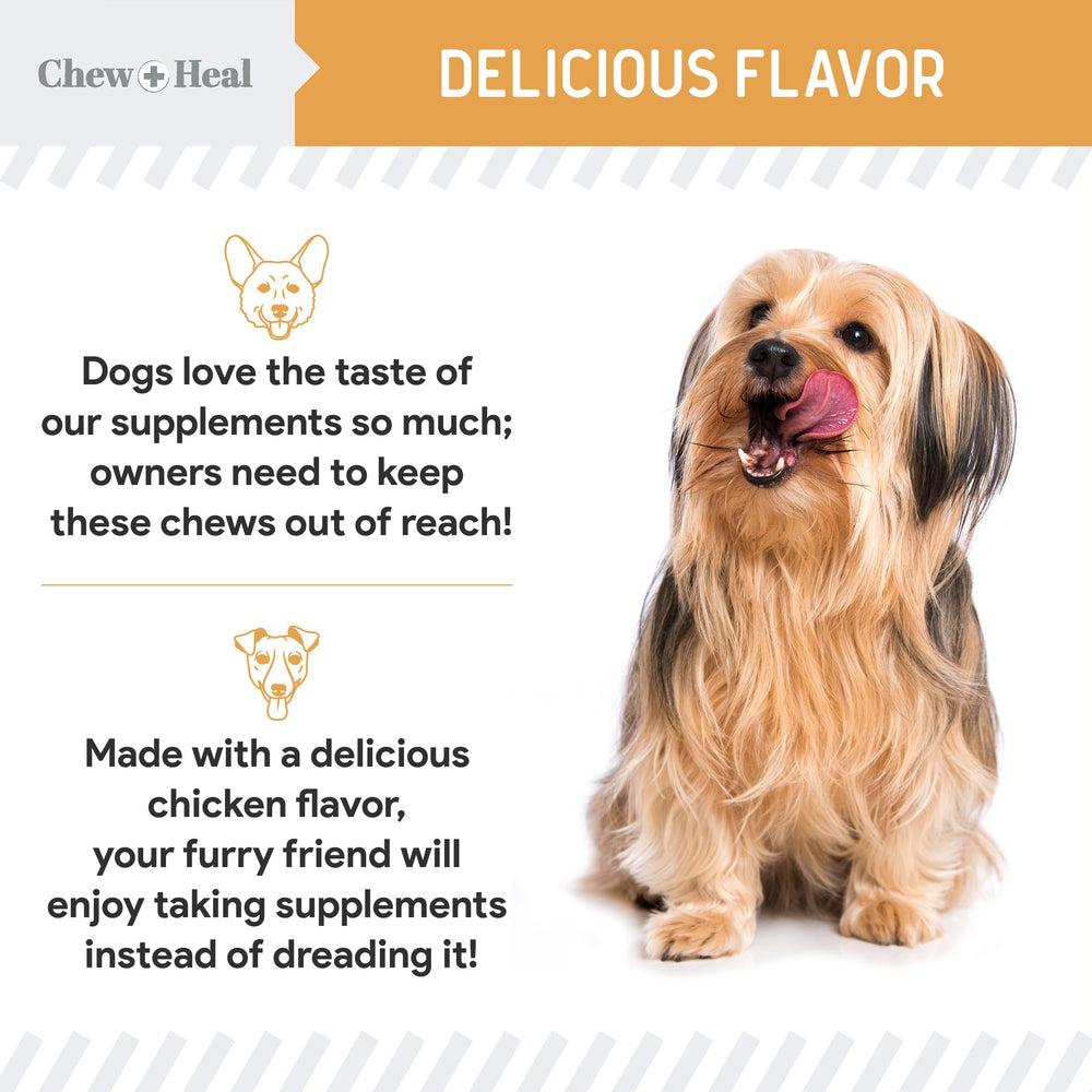 Chew + Heal Labs Omega dog treats 360-count pack – long-lasting care
