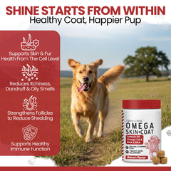 Omega fatty acids blend from salmon and fish oil for healthy fur