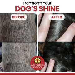 Salmon oil based formula for dogs supporting coat shine