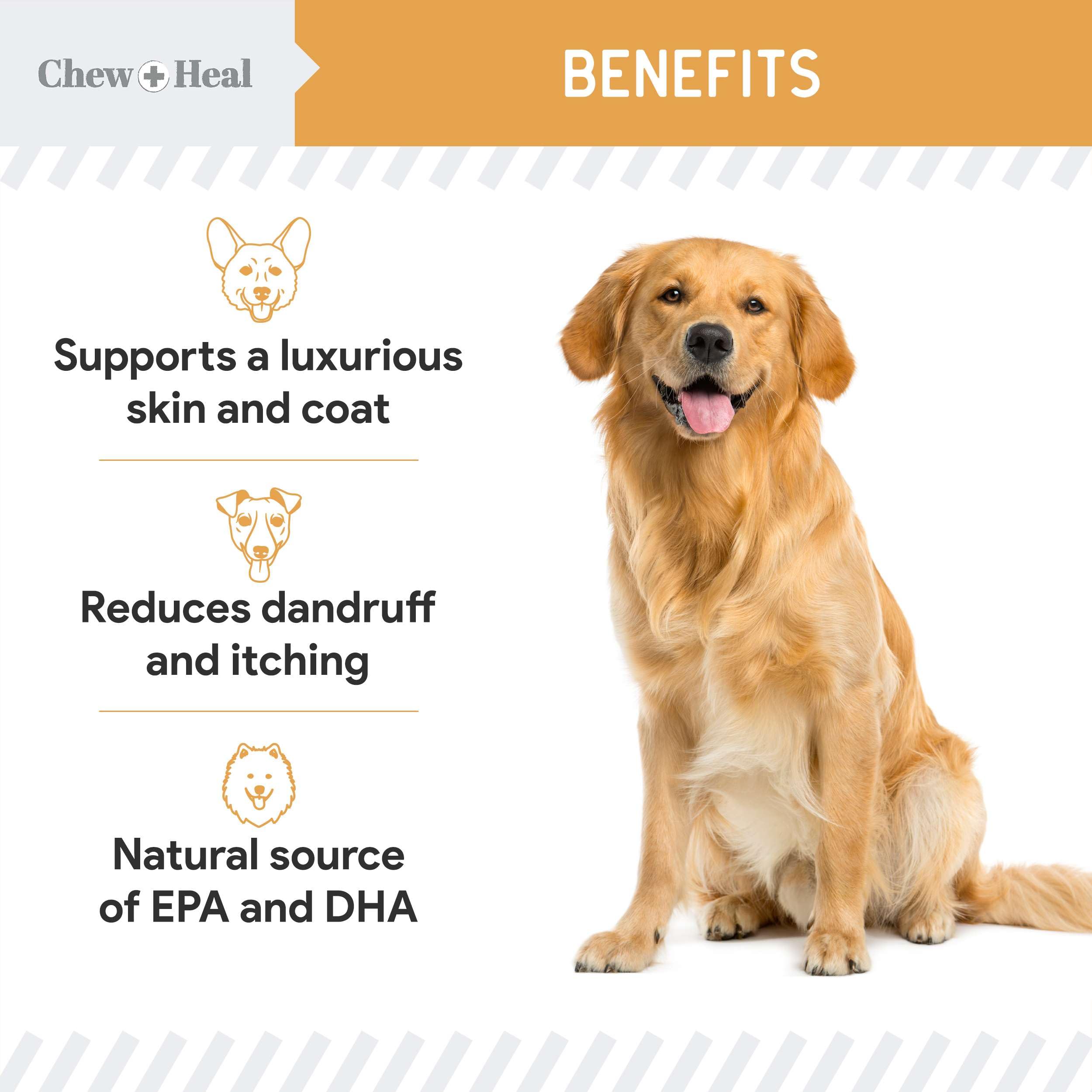 Two bag sizes show options for different dog sizes