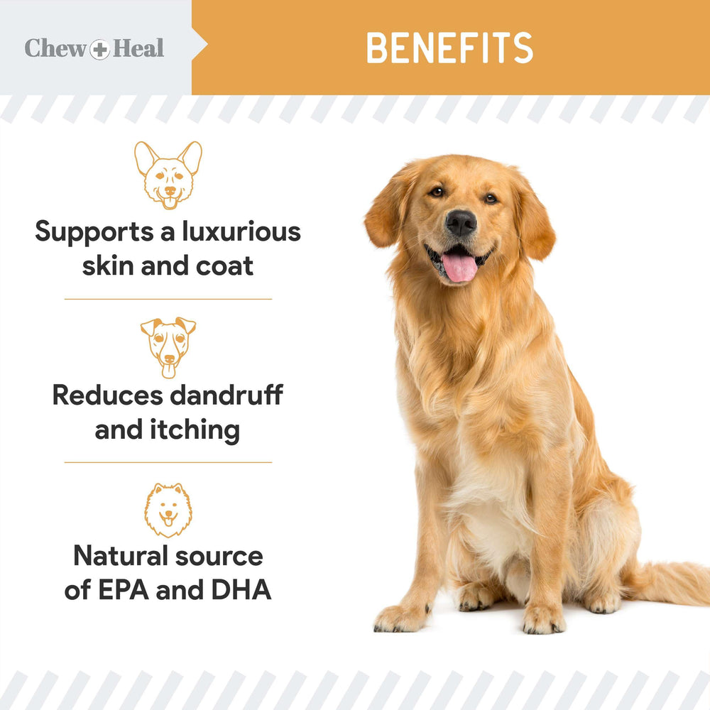 Two bag sizes show options for different dog sizes