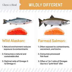 Ingredient panel features wild Alaskan salmon, flaxseed, and oats for wholesome nutrition
