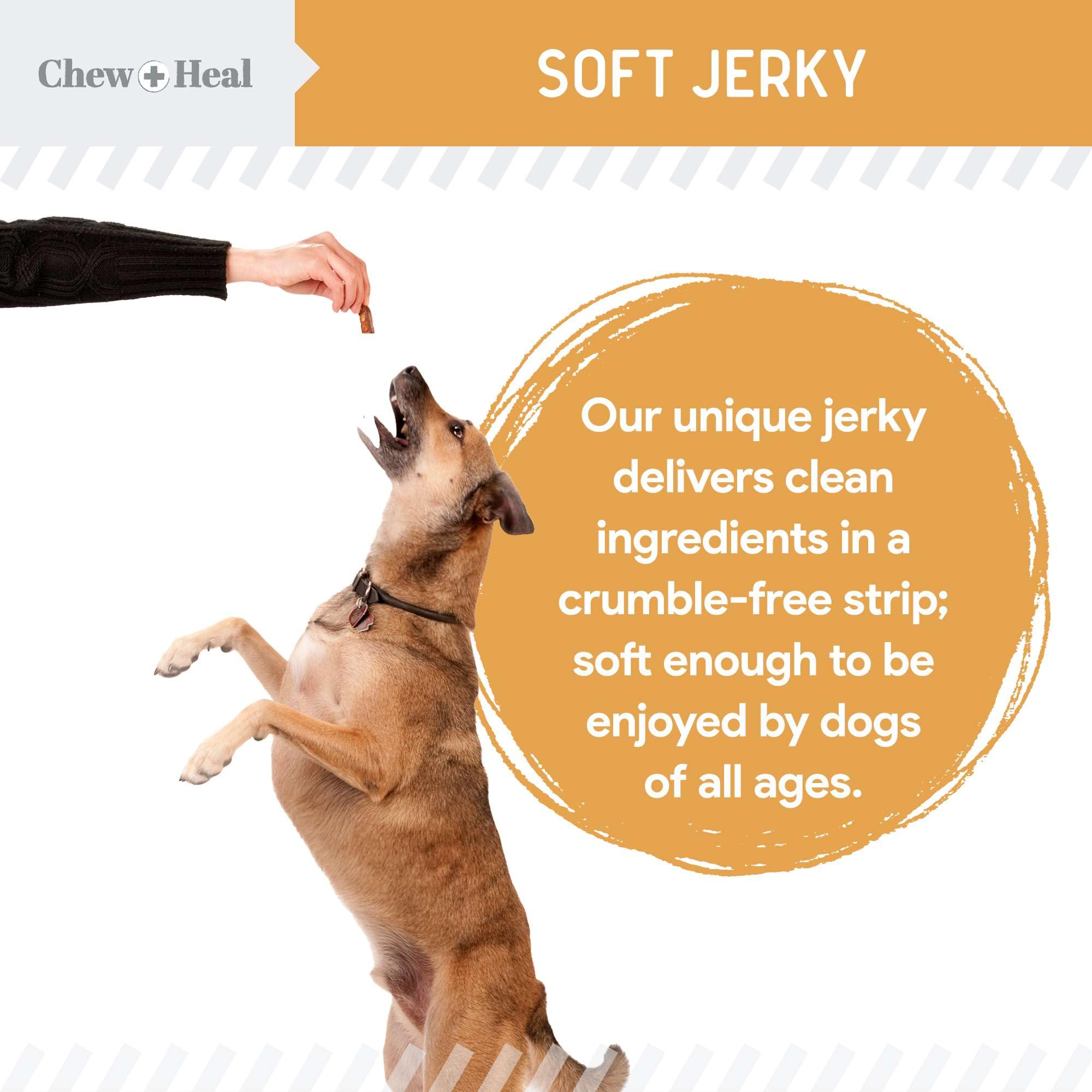 Soft texture close-up indicates easy-to-chew design for dogs