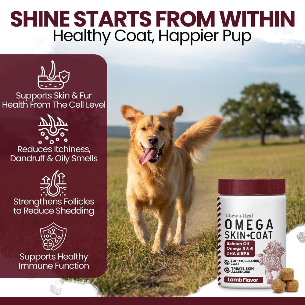 Chew + Heal Labs omega treats skin-coat gloss showcases shine.