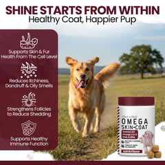 Chew + Heal Labs omega treats skin-coat gloss showcases shine.