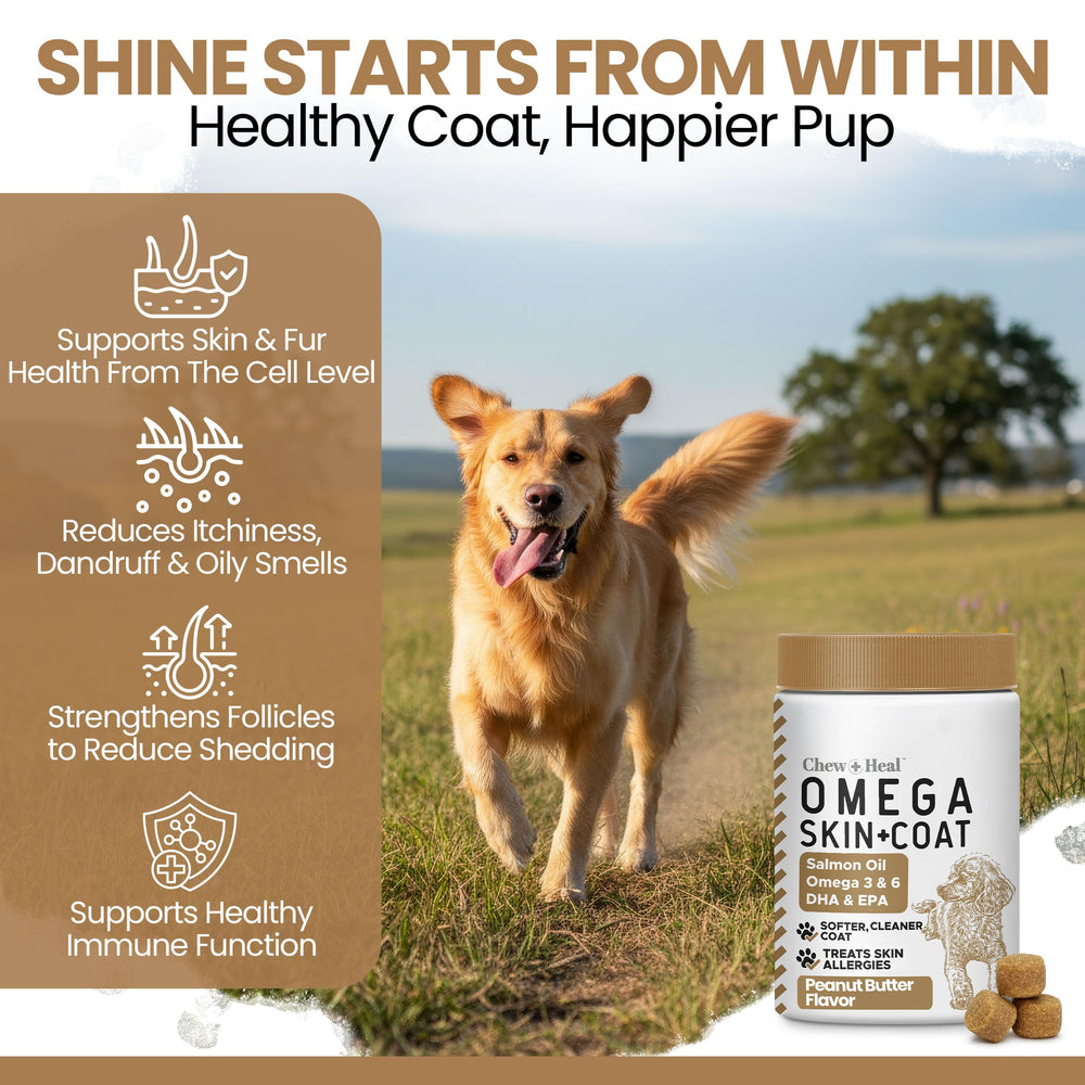 Chew + Heal Labs Omega3 dog coat shine after use.