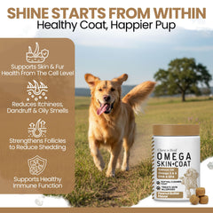 Chew + Heal Labs Omega3 dog coat shine after use.