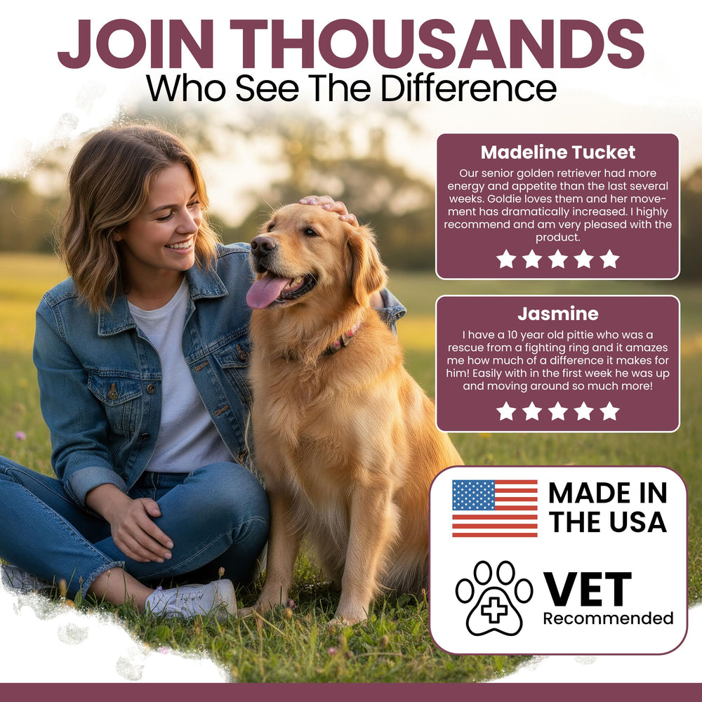 Chew + Heal Labs canine probiotic blend supporting gut health.