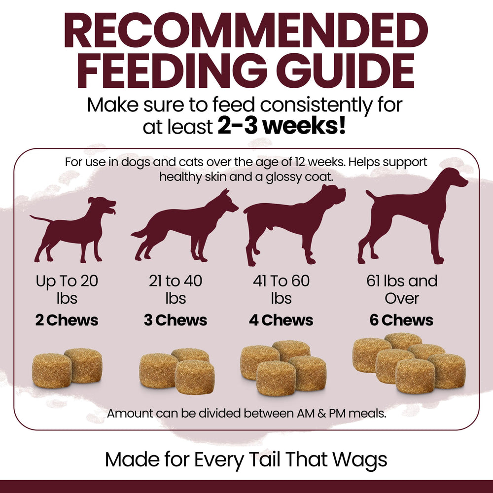 Chew + Heal Labs probiotic-enriched chews suggest gut-friendly benefits.
