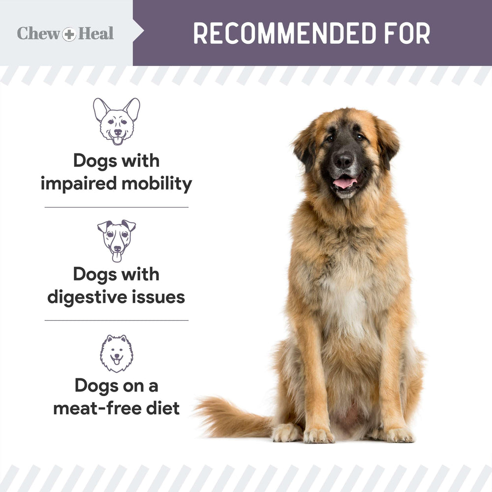 Chew + Heal Labs pumpkin digestive support for dogs