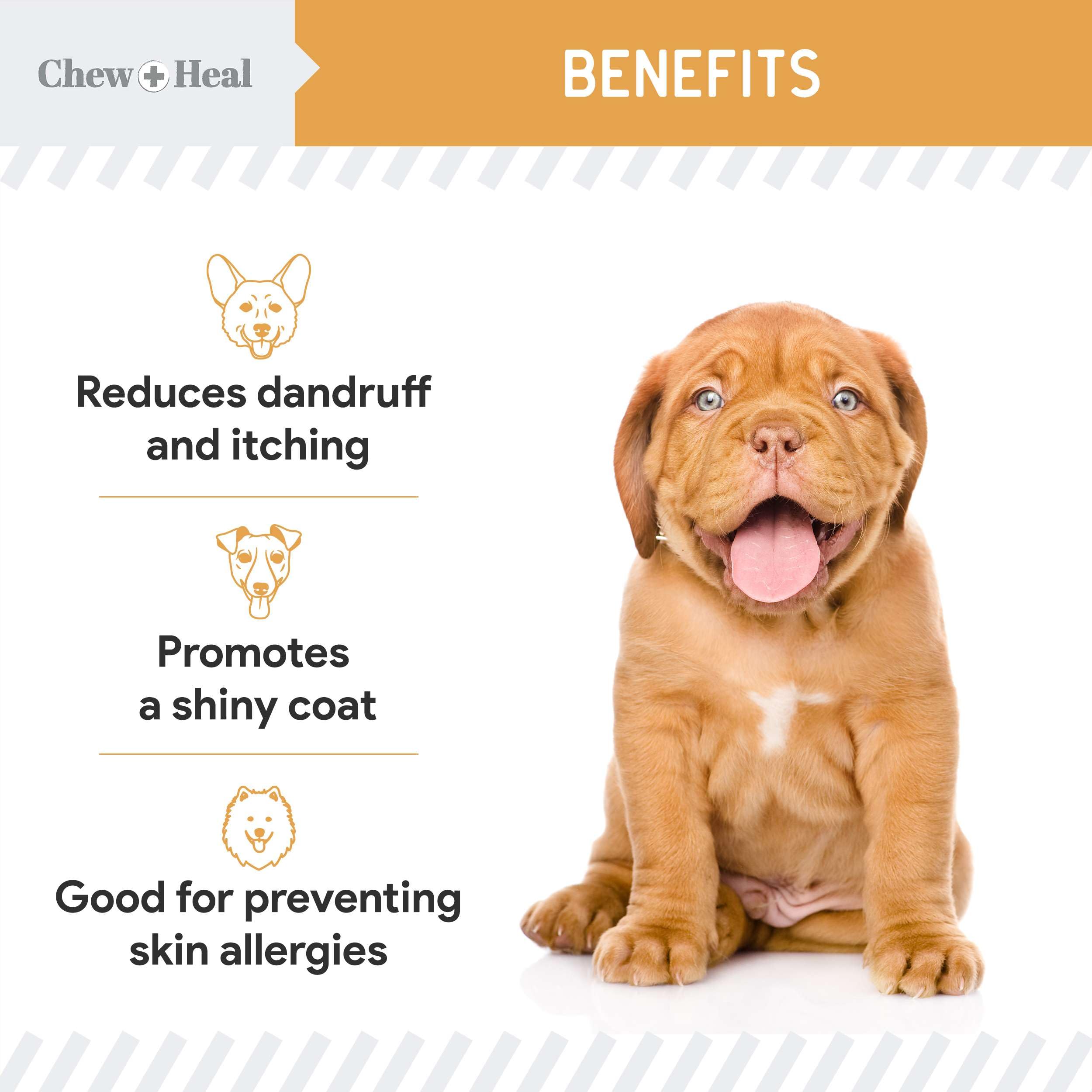 Chew + Heal Labs Salmon Oil dog coat close-up highlights nourishment for skin.