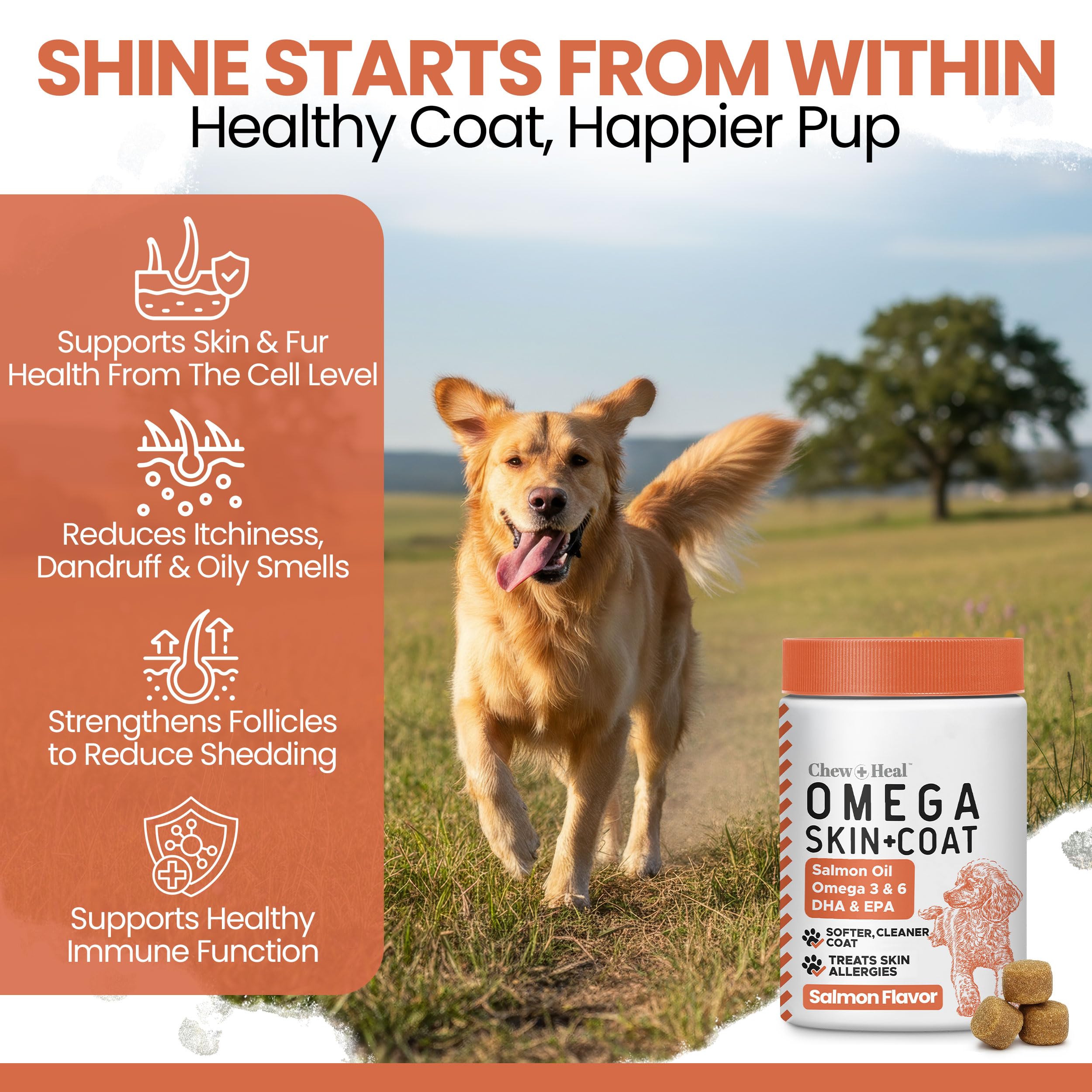 Chew + Heal Labs Salmon Oil bottle shows USA-made quality for dogs.