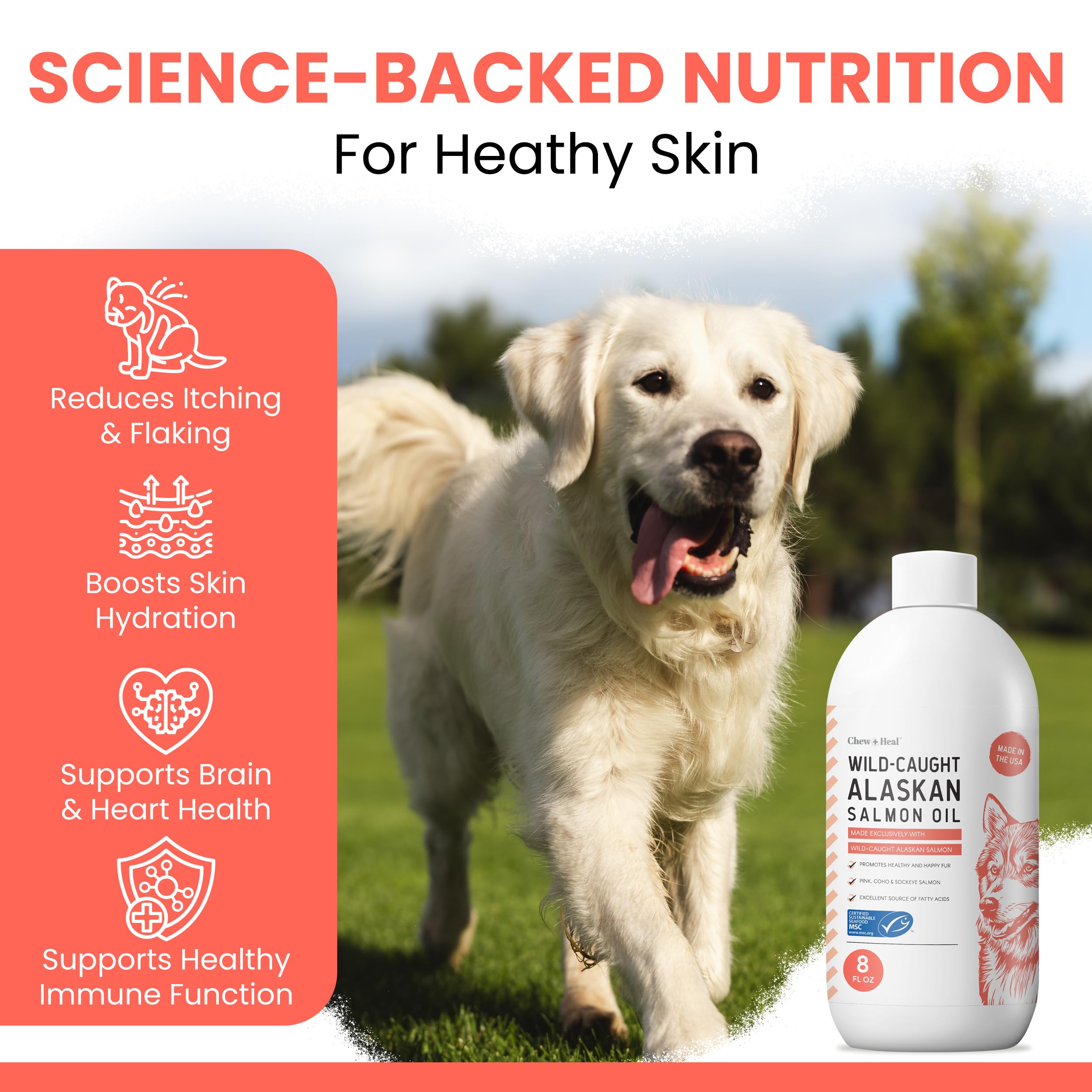Salmon oil for dogs supports skin and coat health.