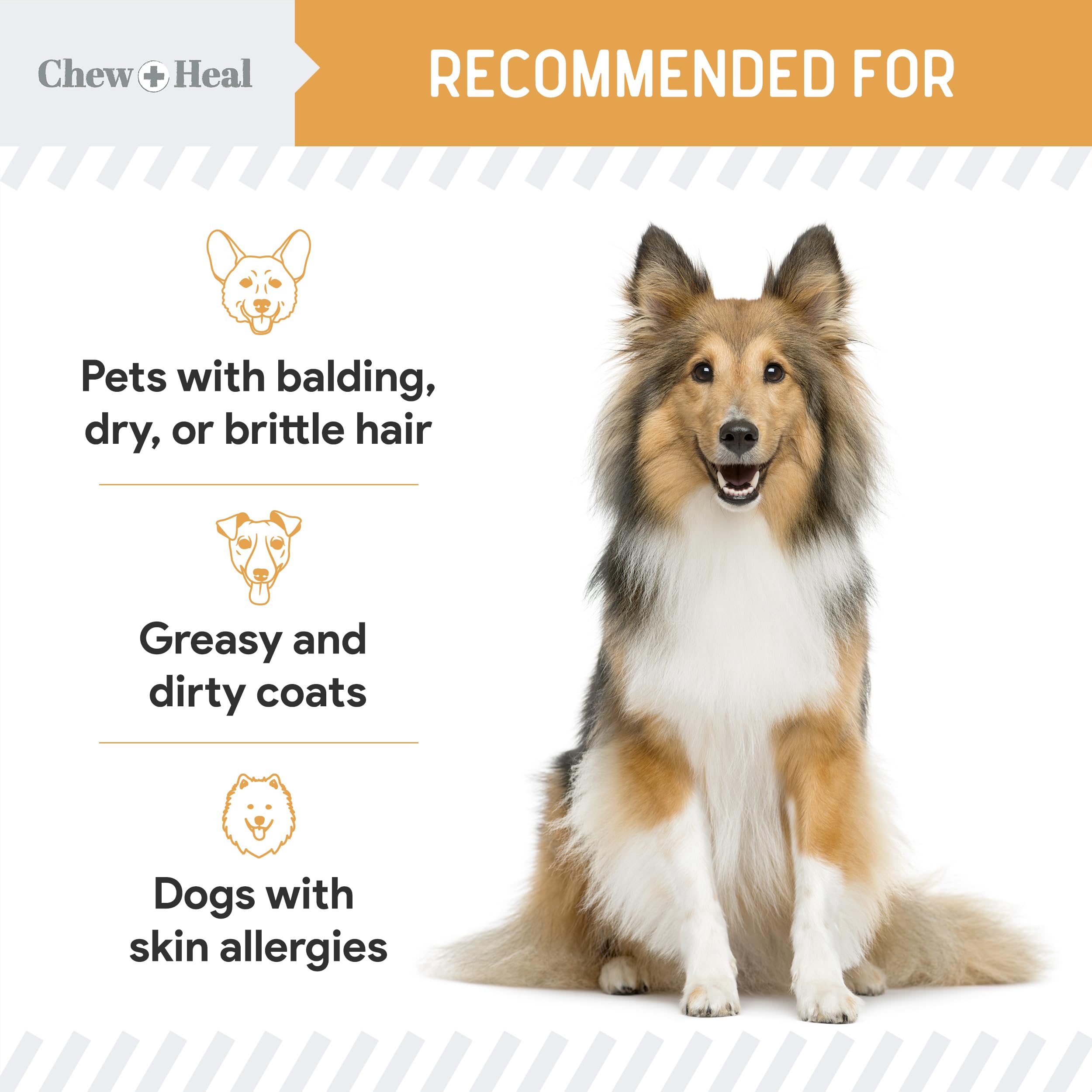 Chew + Heal Labs Salmon Oil bottle highlights ingredients and quality.