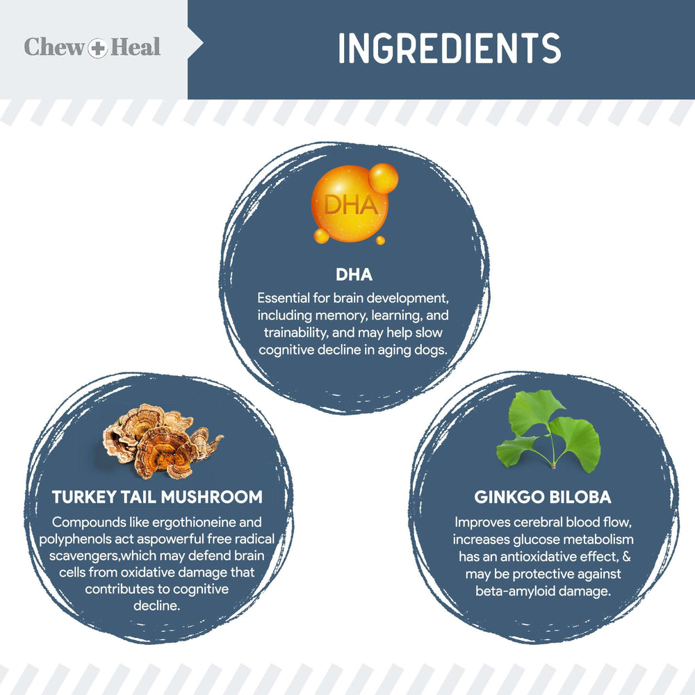Chew + Heal Labs Senior Dog Vision and Cognition Chews close-up shows soft, chewable texture.