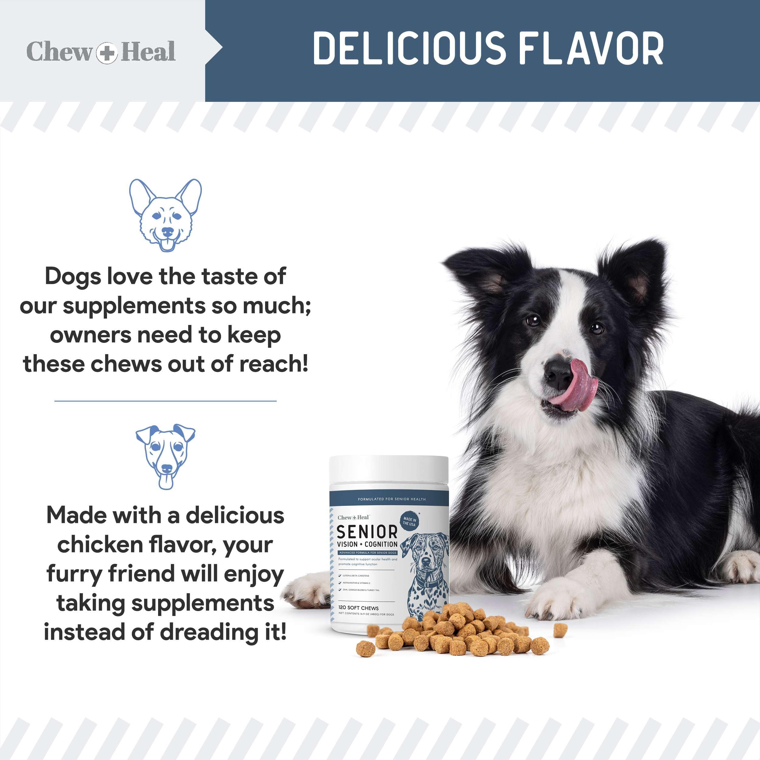 Chew + Heal Labs Vision and Cognition Chews are easy to chew for older dogs.