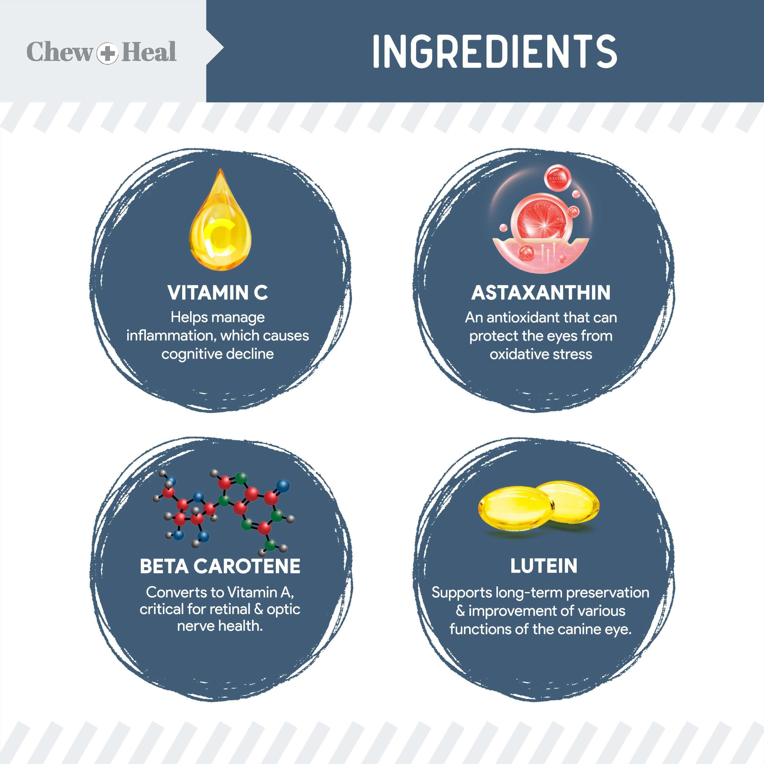 Chew + Heal Labs Senior Dog Vision and Cognition Chews soft texture makes chewing easy for seniors.