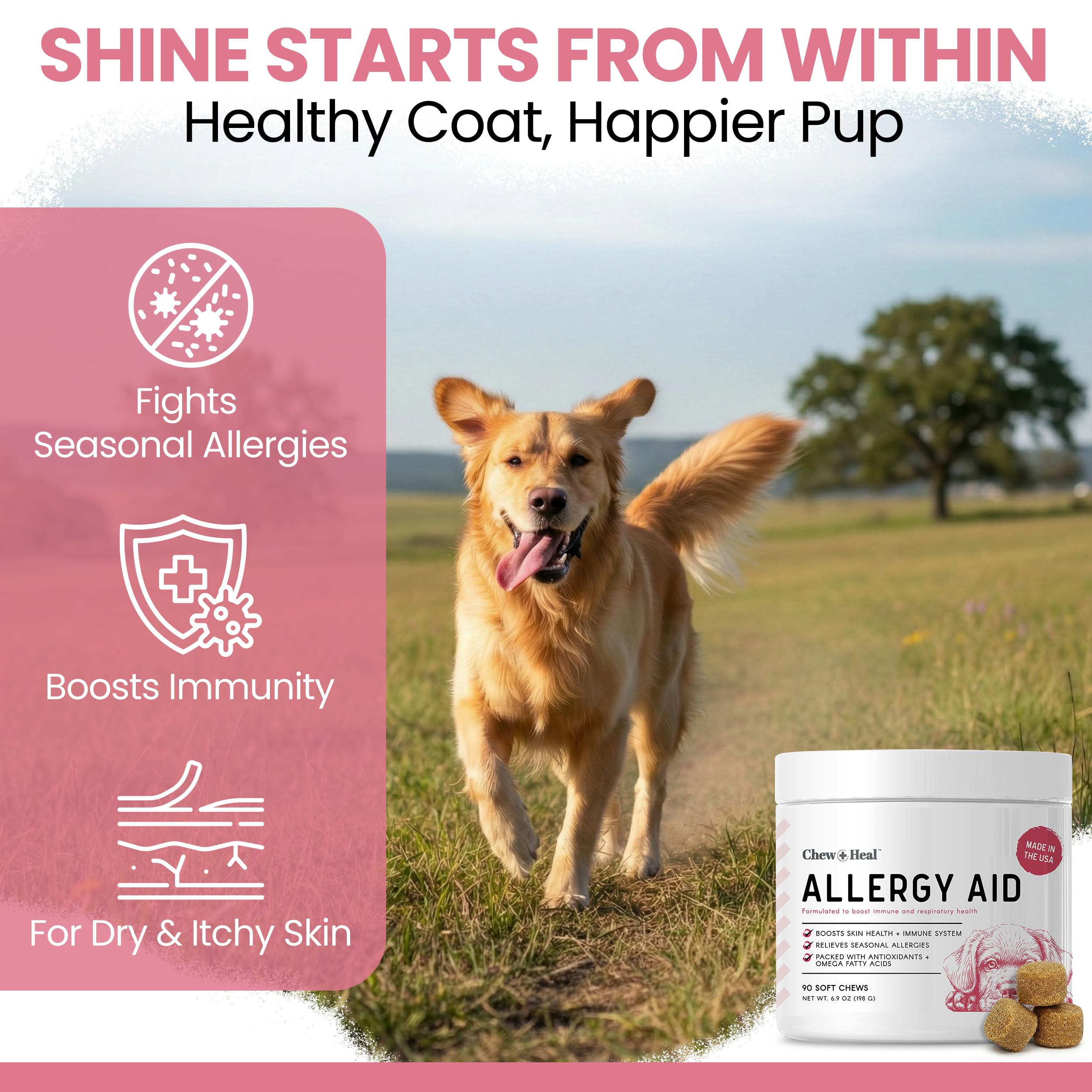 Chew + Heal Labs bowl scene highlights potential for shiny coat and healthy skin