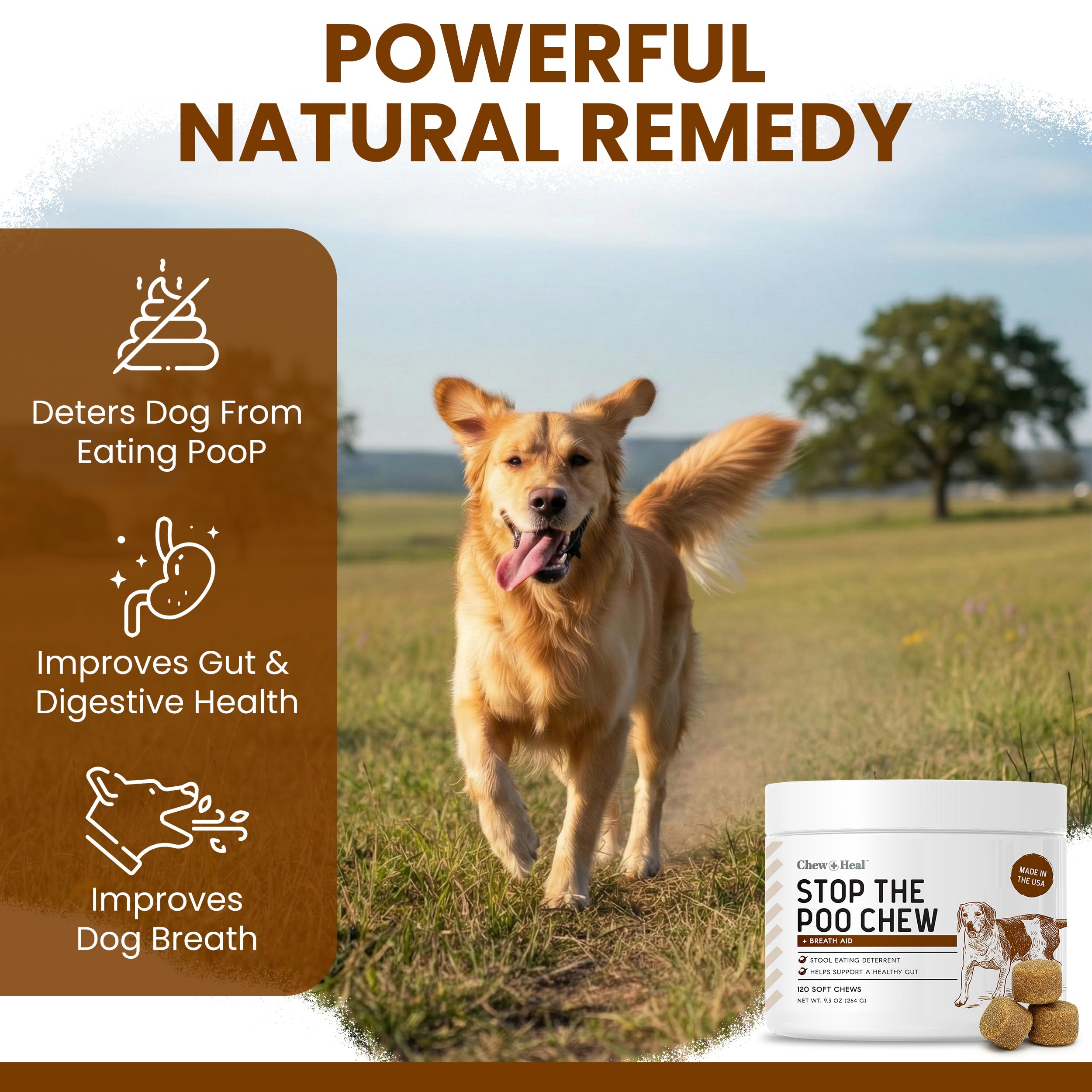 Dog enjoying No Poo chew; soft texture and peanut butter flavor.