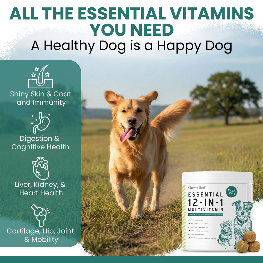 Chew + Heal Labs soft chews close-up, delicious daily supplement