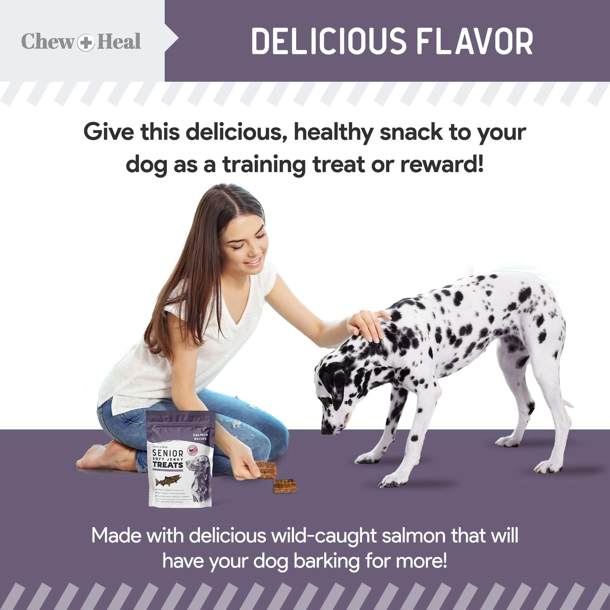 Chew + Heal Labs soft jerky texture ideal for older dogs