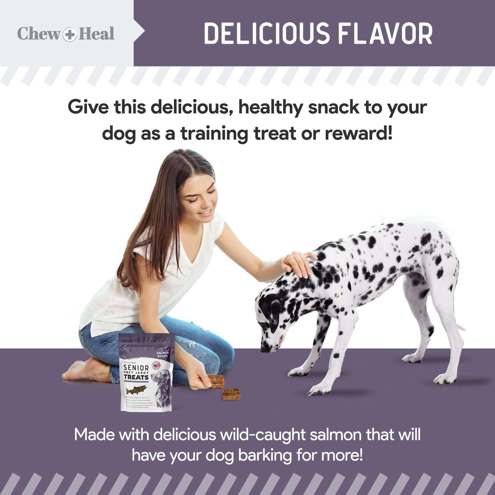 Chew + Heal Labs soft jerky texture ideal for older dogs