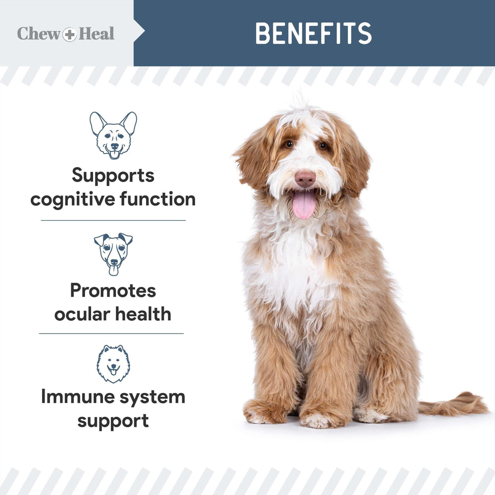 Chew + Heal Labs turkey tail antioxidants support healthy inflammatory response.