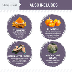 Chew + Heal Labs turmeric joint support for aging dogs