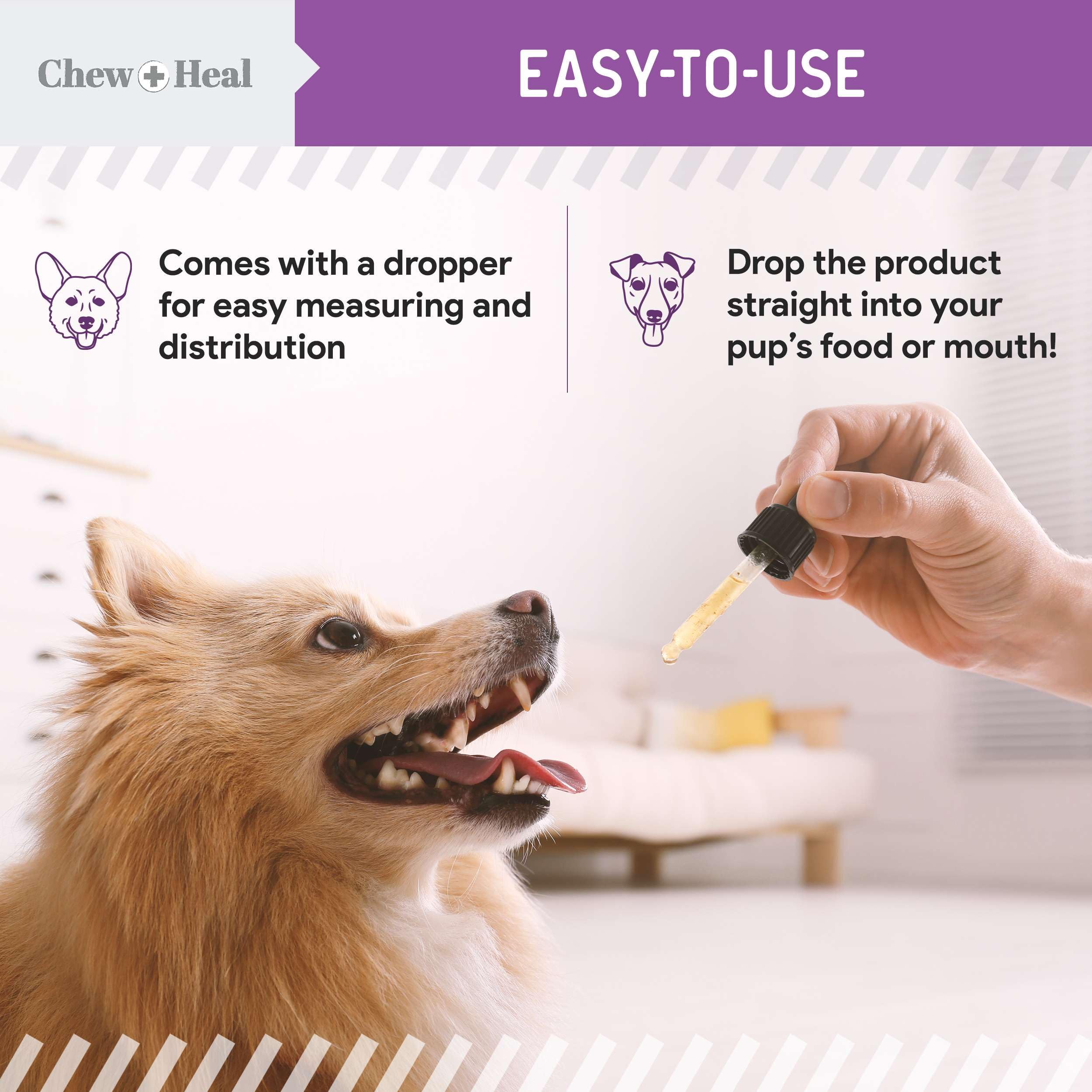 Chew + Heal Labs bottle with dog lifestyle imagery and coat shine.