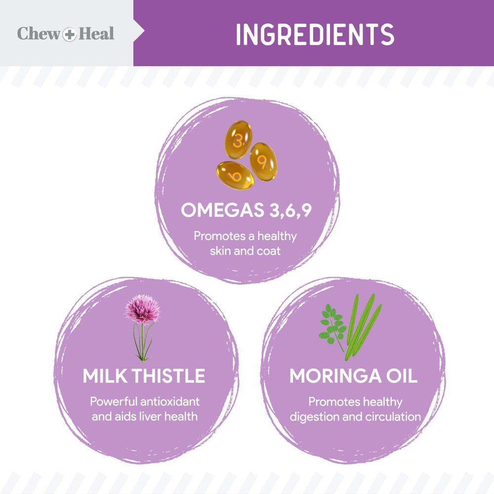 Chew + Heal Labs Wild Alaskan Salmon Oil image supporting skin health.