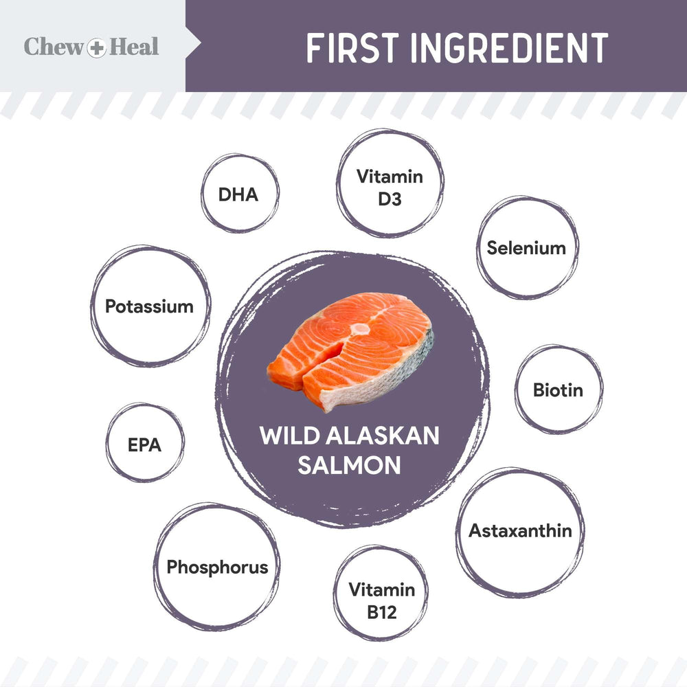 Chew + Heal Labs wild Alaskan salmon omega-rich option for coats