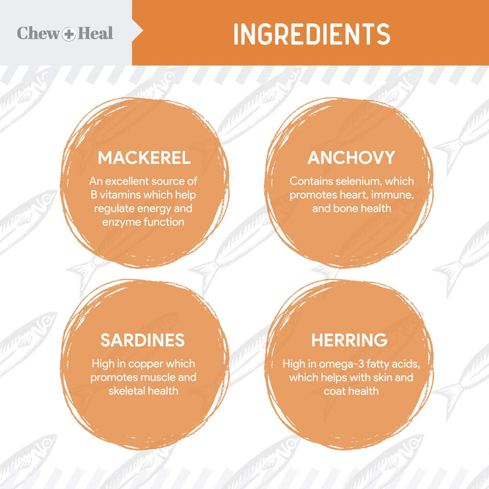 Chew + Heal Omega 3 mini softgels for puppies shown as daily use