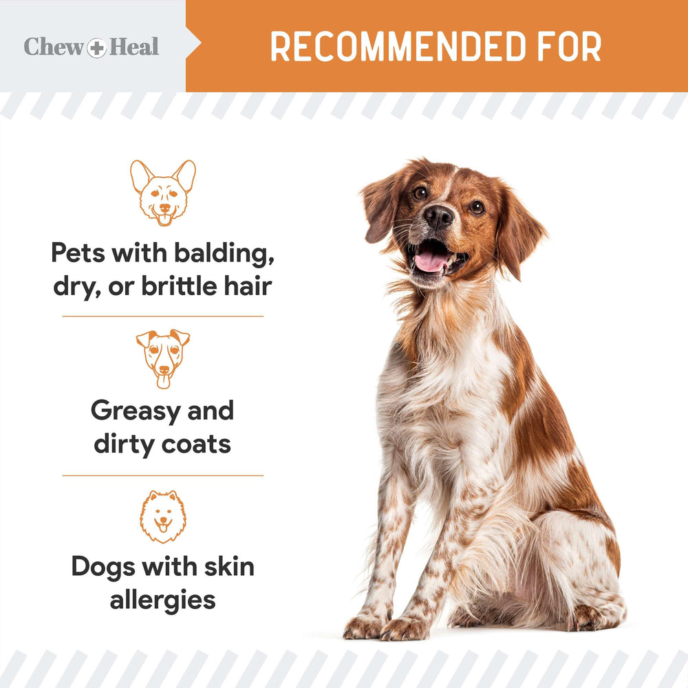 Chew + Heal Omega 3 skin and coat shine for small dogs