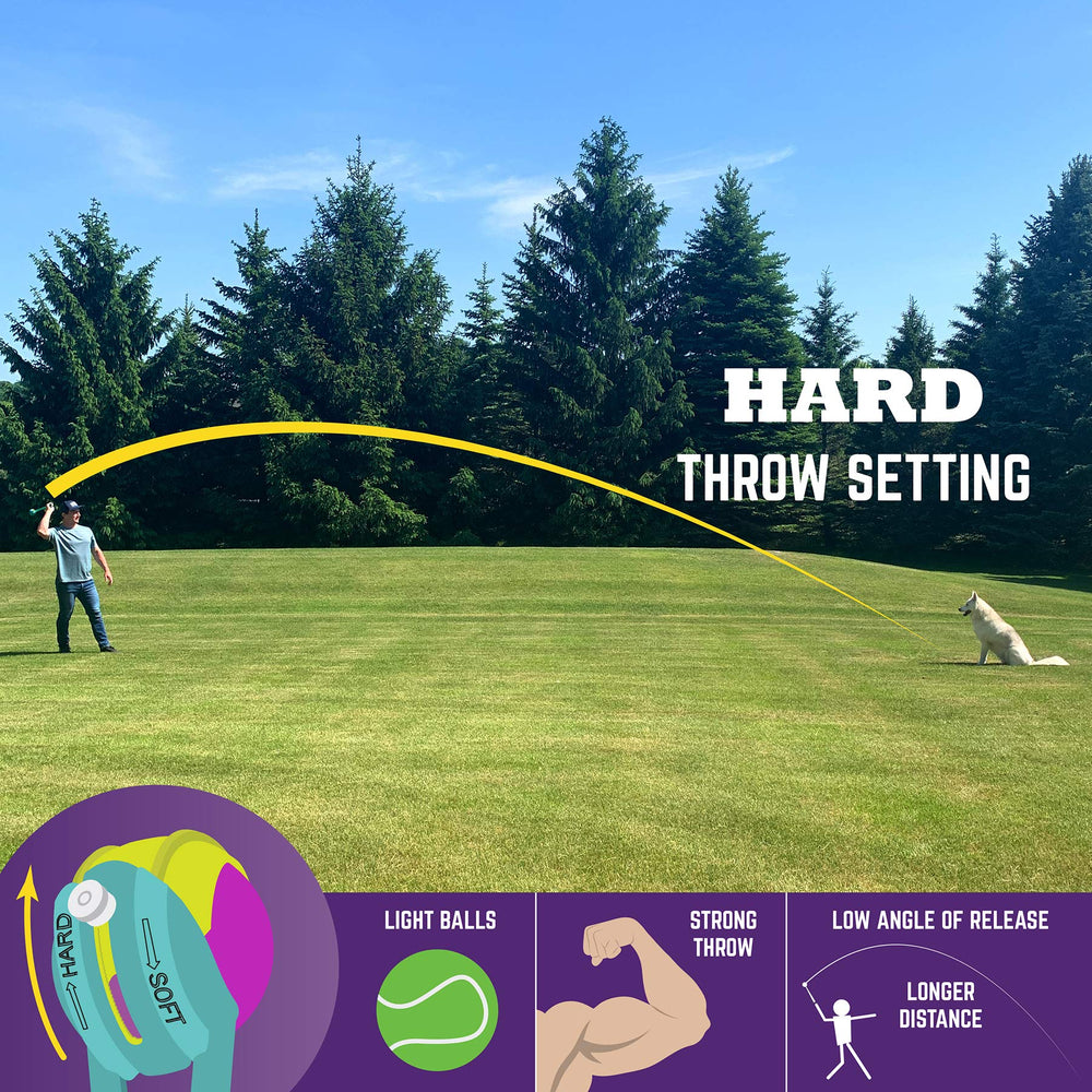 Chew King medley 3pk 2.75-inch balls for versatile fetch play