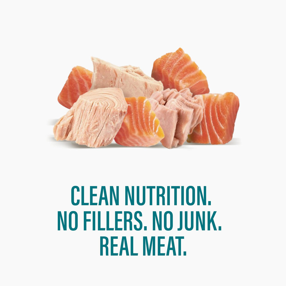 Chewer's Joy high-protein formula graphic notes over 60% protein on dry matter
