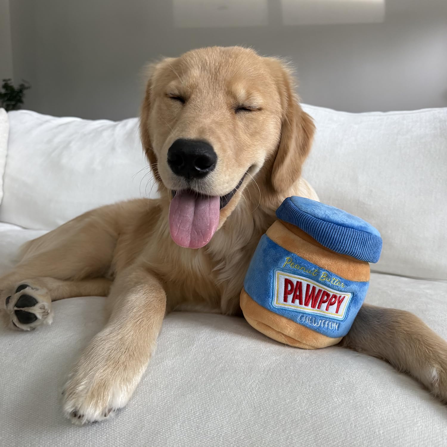 CHEWFFON treat-pocket toy with hidden compartments for rewards.