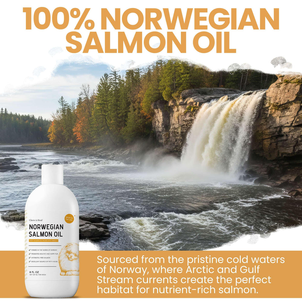 Chew + Heal Labs omega-3 salmon oil boosts heart and immune health in a tasty daily supplement.