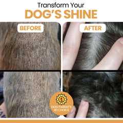 Chew + Heal Labs liquid salmon oil bottle supports itchy skin relief and coat vitality.