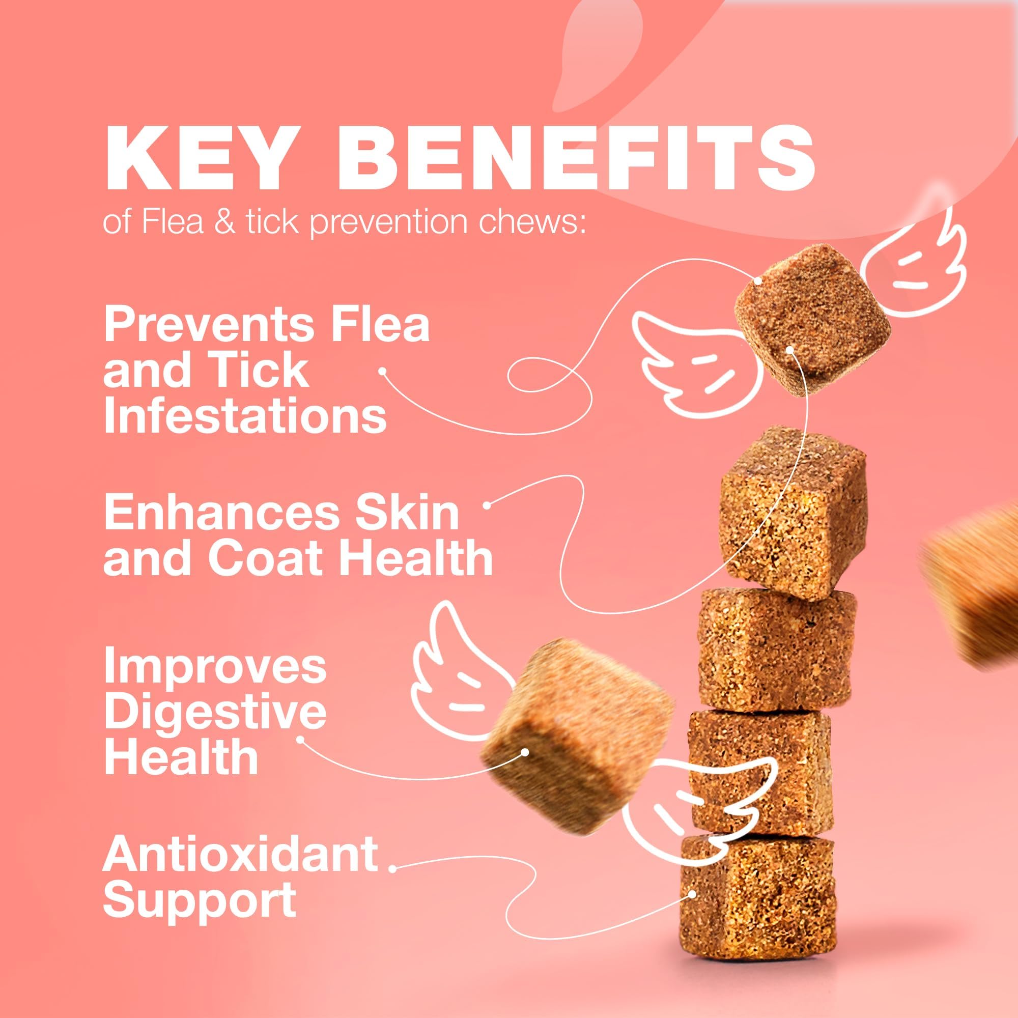 CHEWIA chicken-flavor flea chews entice cats with tasty daily protection