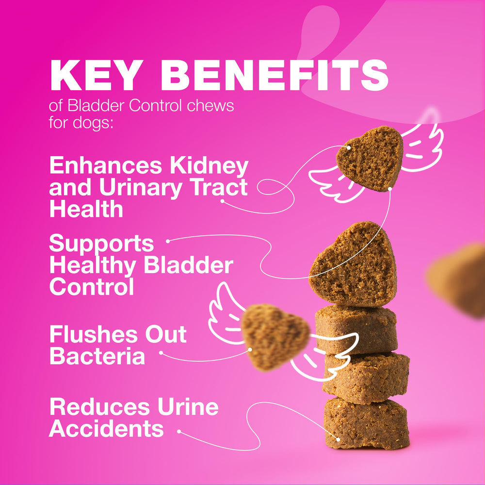 CHEWIA Cranberry Dog Chews label highlights cranberry extract benefits for urinary health.