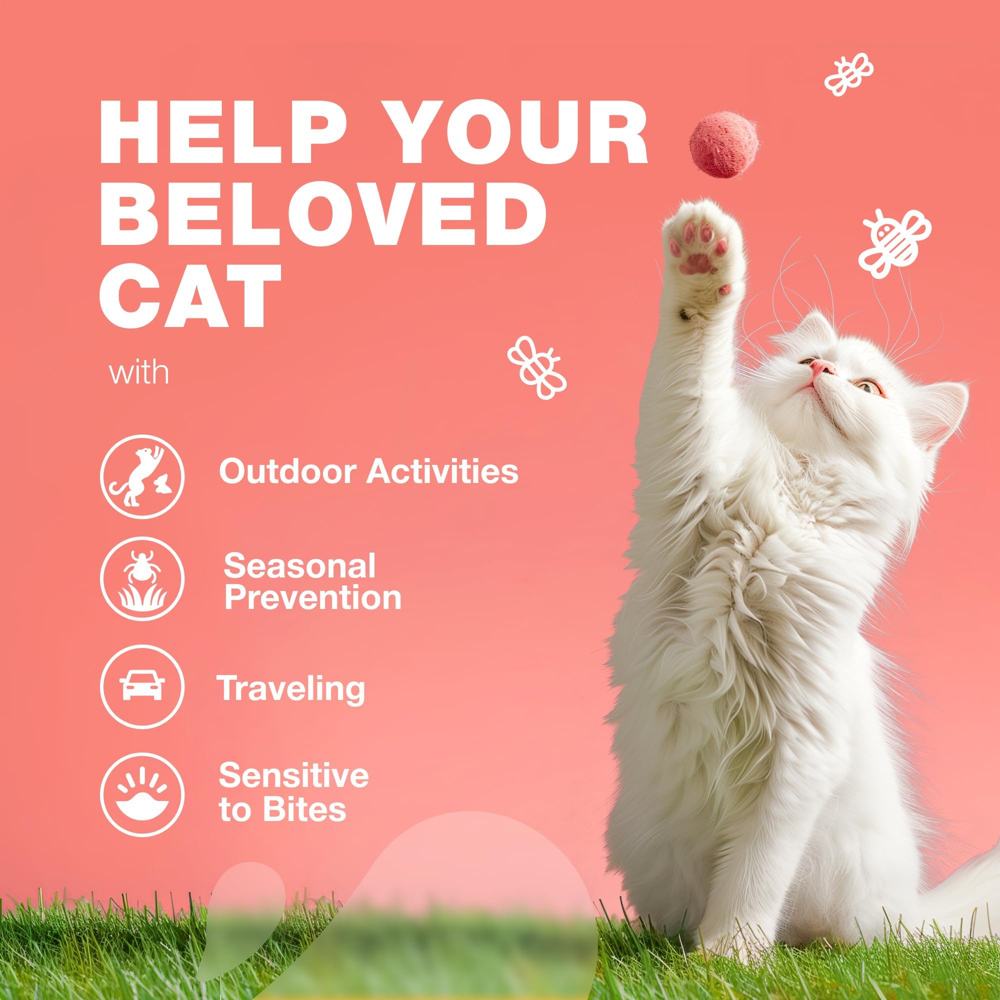 CHEWIA daily cat flea prevention dosing supports routine care