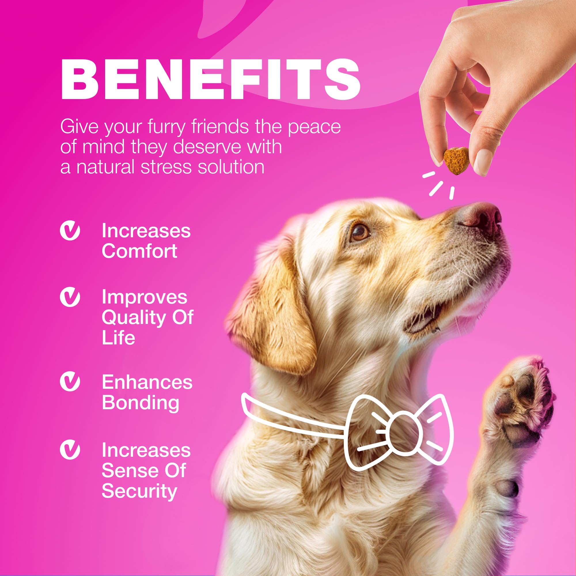 CHEWIA Dog Treats for Bladder Health offer routine care.