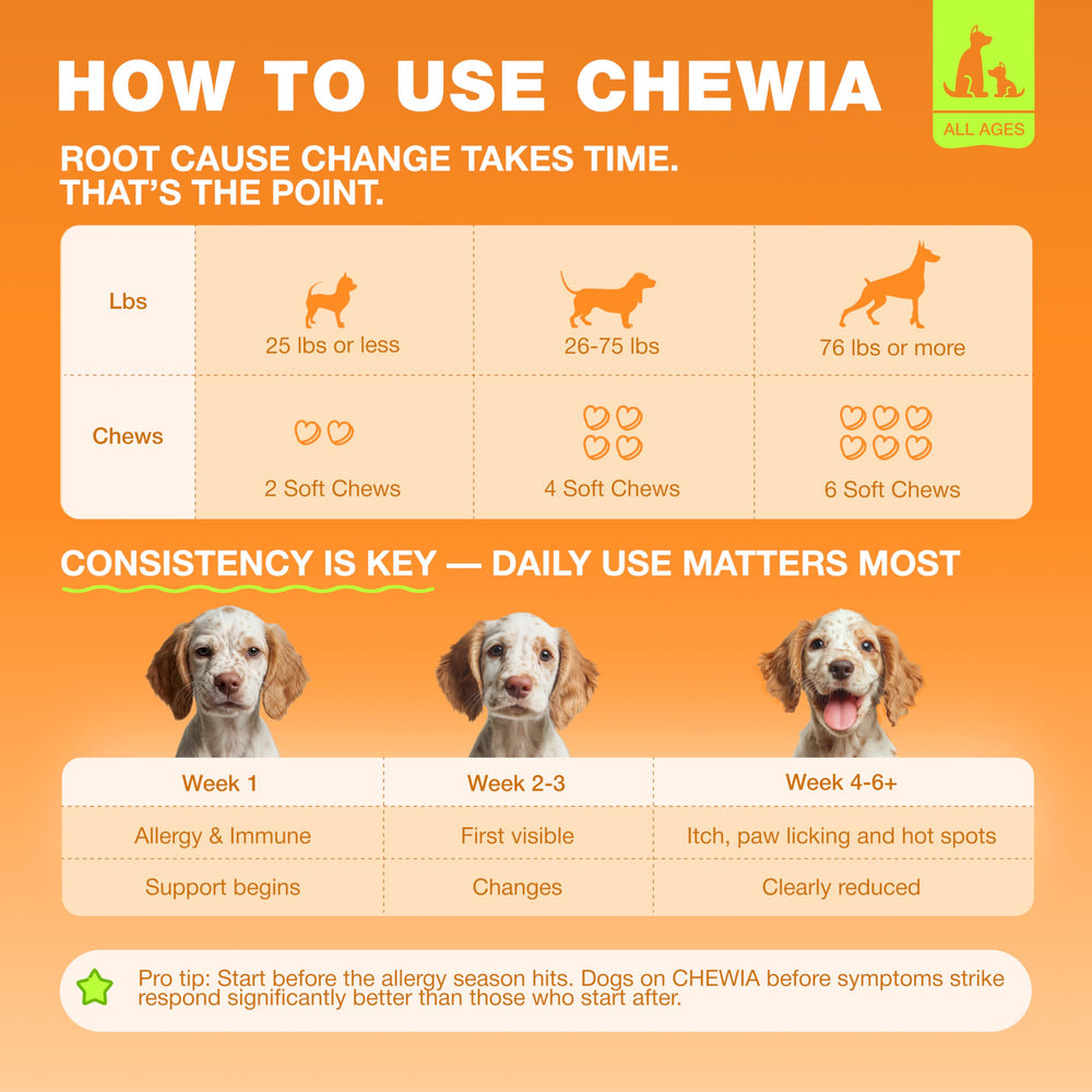 CHEWIA seasonal allergy chews ideal for comfortable outings.
