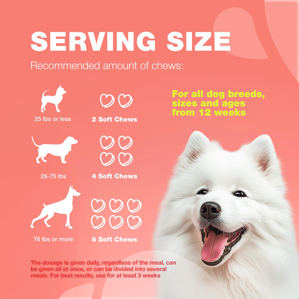 Dog enjoying CHEWIA flea and tick chews during daily routine.
