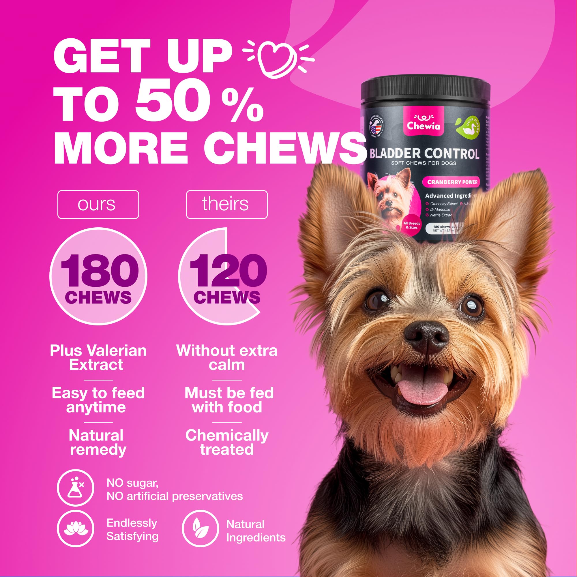 CHEWIA Dog Incontinence Chews aid comfortable urination and bladder balance.
