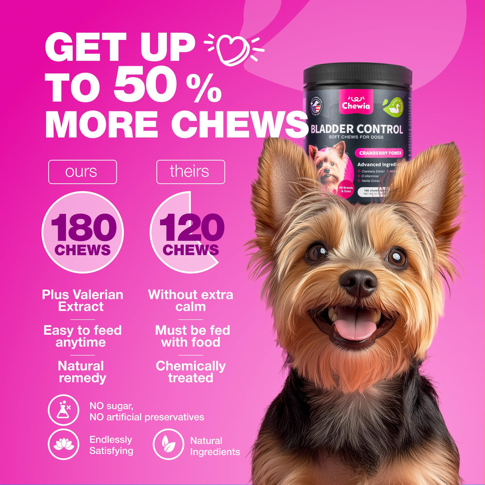CHEWIA Dog Incontinence Chews aid comfortable urination and bladder balance.