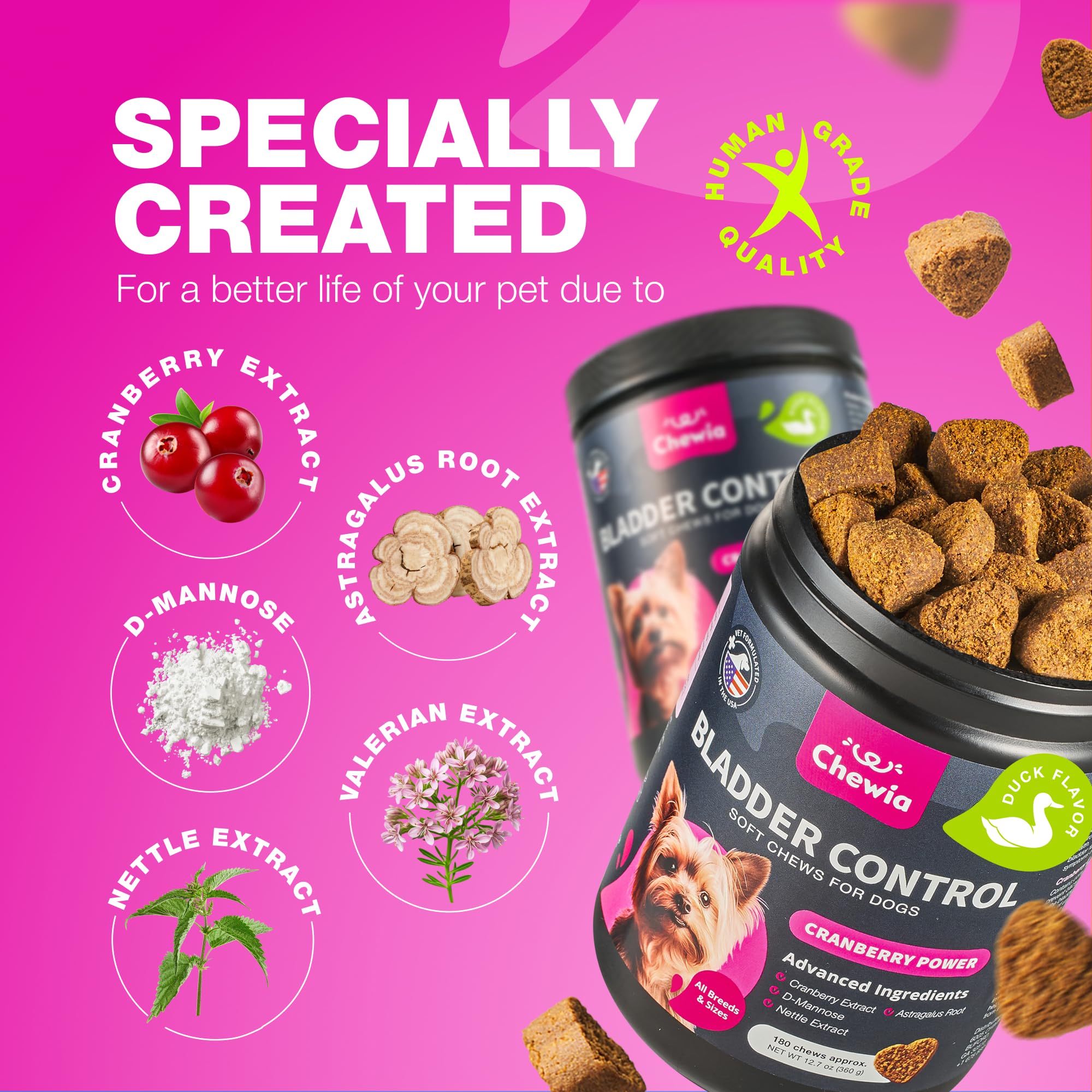 CHEWIA Dog Kidney Support Chews promote kidney-friendly care.