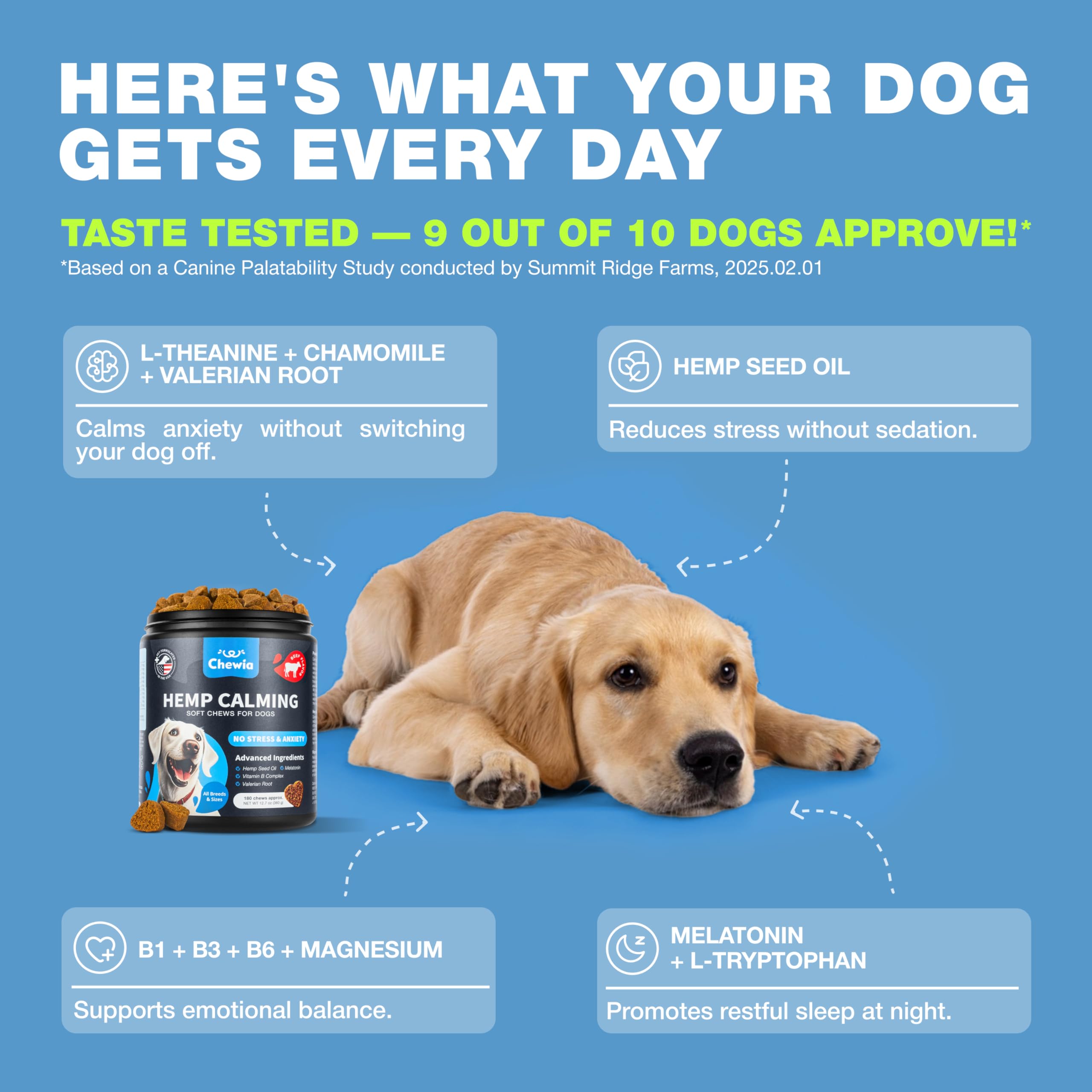 Relaxed dog after CHEWIA chews demonstrates calmer behavior.